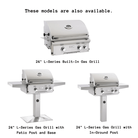 Image of American Outdoor Grill 24" L-Series Portable Gas Grill 24PCL