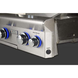 American Outdoor Grill 24" In-Ground Post L-Series Gas Grill 24NGL