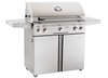 American Outdoor Grill 24" T-Series Portable Gas Grill 24PCT