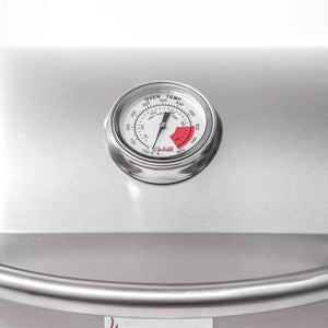 Blaze Professional Portable Propane Gas Grill
